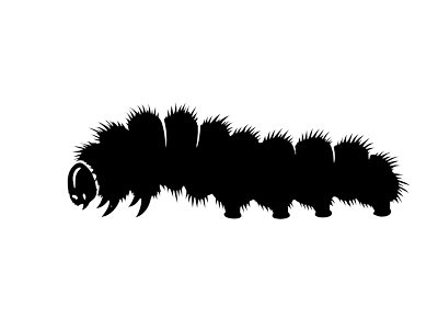 毛虫駆除