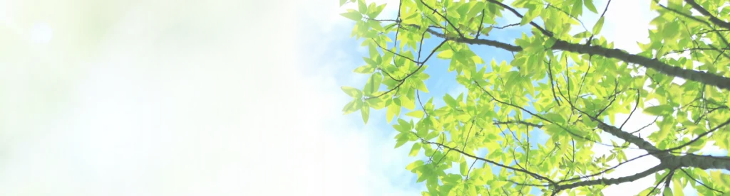 埼玉消毒|埼玉県狭山市の害虫駆除・害獣防除